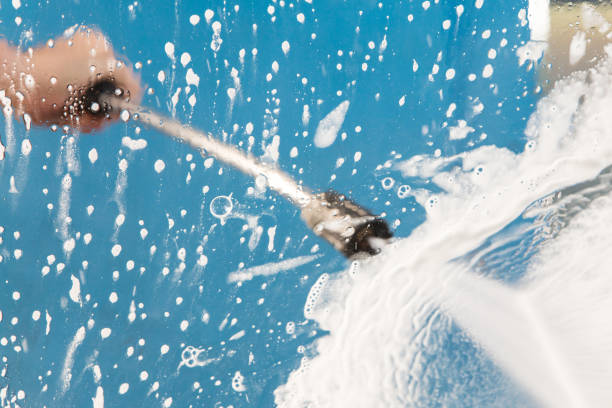 Best Gutter Cleaning  in Little Falls, MN